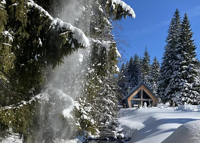 Chalet Belveder Sport *